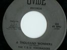 TSU Toronadoes: Thousand Wonders Northern Soul