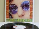 ROGER NICHOLS SMALL CIRCLE OF FRIENDS NM MONO WLP CLEAN