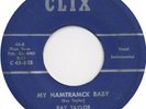 ROCKABILLY 45 - RAY TAYLOR & ALABAMA PALS - 2 SIDER
