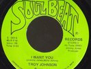 northern soul-Troy Johnson-Soul Beat-I Want You