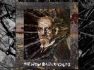 NEW BLOCKADERS: VIVA NEGATIVA VOL.1  4LP BOX - merzbow