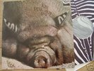 KIN PING MEH - NO 2 - ORG 1ST PRESS ZEBRA - GER PROG