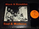 THE JIHAD Black and Beautiful Soul and Madness JIHAD LP
