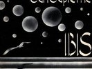IBIS - SUN SUPREME - RARE ITALIAN PROG LP UNPLAYED 