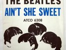 BEATLES 45 AINT SHE SWEET NOBODYS CHILD W PIC SLEEVE NR