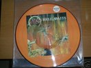 RARE SLAYER HELL AWAITS PICTURE DISC VINYL RECORD LP