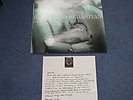 BELLE AND SEBASTIAN - MINT TIGERMILK + JEEPSTER LETTER