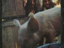 Fickle Pickle - Sinful Skinful  UK psych on Explosion