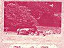 Water Into Wine Band - Harvest Time (Rare UK LP)