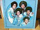 The Jacksons Picture Disc (michael jackson)