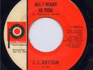J. T. Rhythm Palmer 45 Rare Detroit Northern Soul