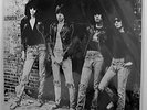 OPERATION IVY Ramones 12