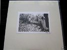 Sunn White Box Set Boris Khanate Limited