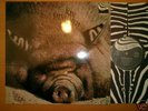 Kin Ping Meh - Nr 2 (D'72 Zebra) +OIS Archivcopy MINT