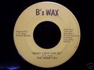 Rare 70's Soul 45 THE HONEY B's on B's WAX  Listen