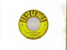 RARE ROCK N ROLL ELVIS PRESLEY ORIGINAL SUN 45 RECORD