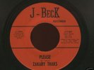 TEXAS Garage 45-The Zakary Thaks-Please-J-Beck