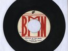BMN/GRAZING IN THE GRASS - LLANS THELWELL/CELESTIALS 7