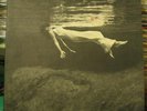 Bill Evans Jim Hall Undercurrent United Artist Gatefold
