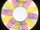 FUNK   Wallace Brothers on Walbro - What-cha feel is...