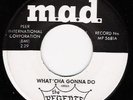 Regents....What 'Cha Gonna Do...Northern Soul on MAD