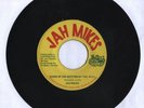 JAH MIKES/DOWN IN THE BOTTOM OF THE WELL - JAH MIKES 7