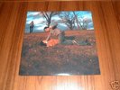 MAGIK MARKERS Trust Guitar LP sunburned sonic youth