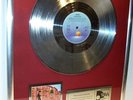 The B-52's Platin Schallplatte Vinyl platinum Record