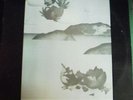 Genesis The Egg Was A Bird Live LP