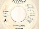 RAVEN: Calamity Jane: Dancefloor Mod-psych Fuzz: mp3s