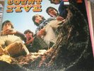 Count Five Psychotic Reaction Original MONO LP