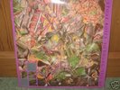 STONE ROSES So Young /Tell Me 12