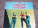 The Screaming Tribesmen 1st EP I Don't Wanna Know 1982