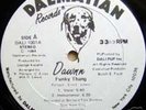 DAWNN | FUNKY THANG | ULTRA-RARE BOOGIE 12
