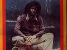 **ERROL FLABBA HOLT - ROOTS RADICS DUB LP**