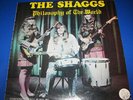 The Shaggs 