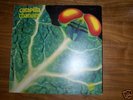 CATAPILLA  