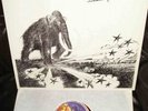 LP MAMMUT Screaming Voices BRUTKASTEN Rare KRAUT 1979