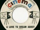RARE TEEN 45 - BILL ANDRESS - A LOVE TO DREAM ABOUT
