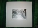 SUNN 0)) - White Vinyl 4LP Box Set, lim 500 (OPP), Isis
