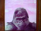 HIRO YANAGIDA: Milk Time  Orig JAP/70 HARD-PROG NM