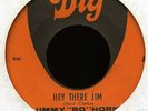 jimmy bo horne.hey there jim.dig.florida funk