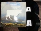 2 LP live ECHO AND THE BUNNYMEN MINT 