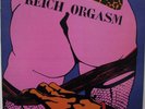 REICH ORGASM rare Oi skinhead lp EVILSKINS TEMPLARS