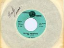 Es-Shades Rare 45 Record