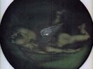 Tool Aenima  Rare Picture Disc 12