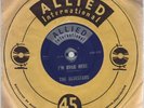 BLUESTARS: SOCIAL END PRODUCT Garage Punk Fuzz 45
