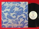 ECHOES IN TIME GARAGE PSYCH FUZZ PUNK SNOT PHLEGM LP