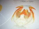 KINGS OF LEON WHITE VINYL US LP RAREST KOL ITEM