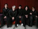 MY CHEMICAL ROMANCE 7